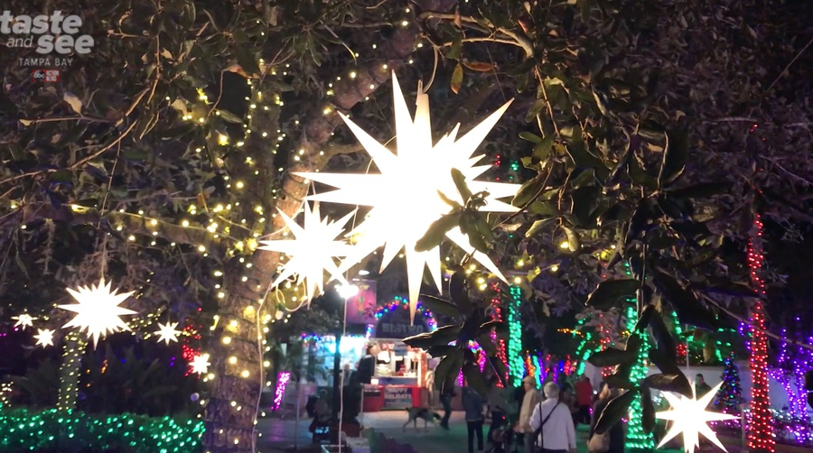 PHOTOS Christmas lights at the Florida Botanical Gardens in Largo